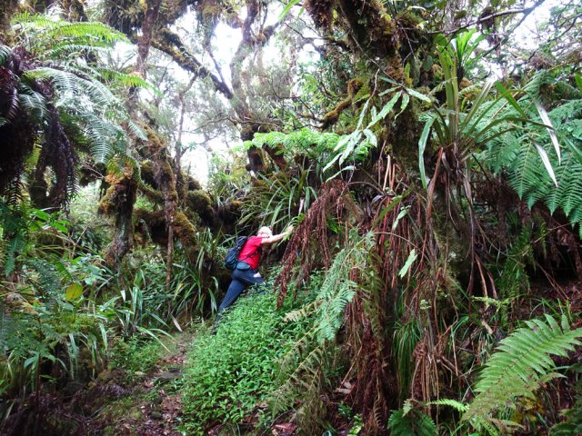 Fortes montées pour quitter les ravines