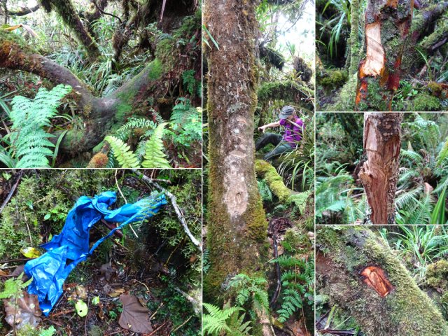 Les repères qu'il faudra suivre durant 4 heures