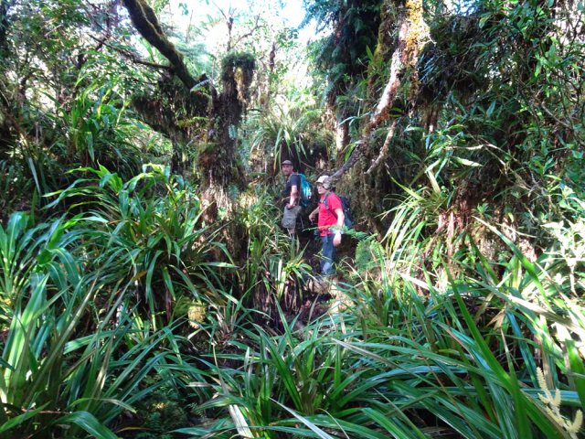 Le sentier est facile à suivre sur 50% de sa longueur