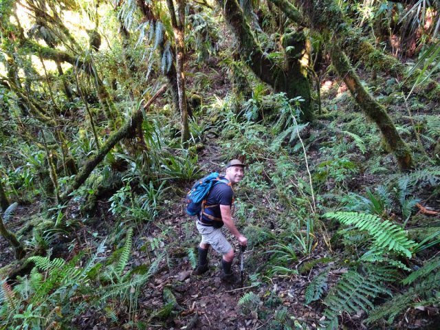 Il est même bien marqué par endroits