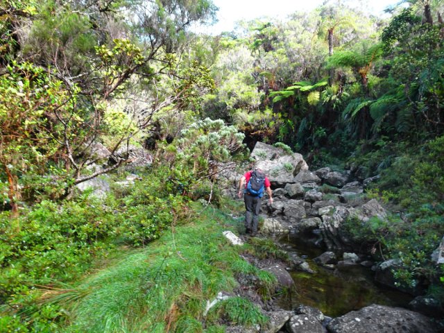 Arrivée à la ravine qu'il faudra remonter sur plus de 500 m