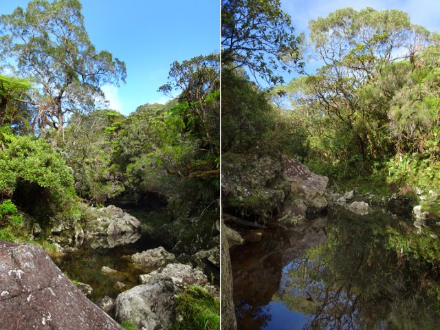 Nombreux bassins faciles à contourner par les berges