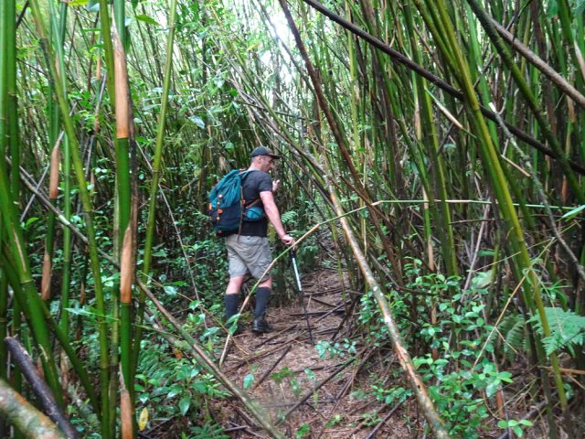 Les dégâts causés par les cyclones n'empêchent pas la progression