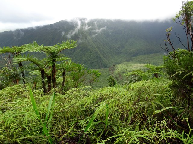 On devine par endroits des bassins de la Rivière des Roches