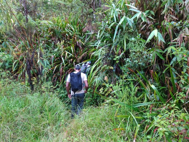 Très discret départ de sentier entre deux minuscules ravines