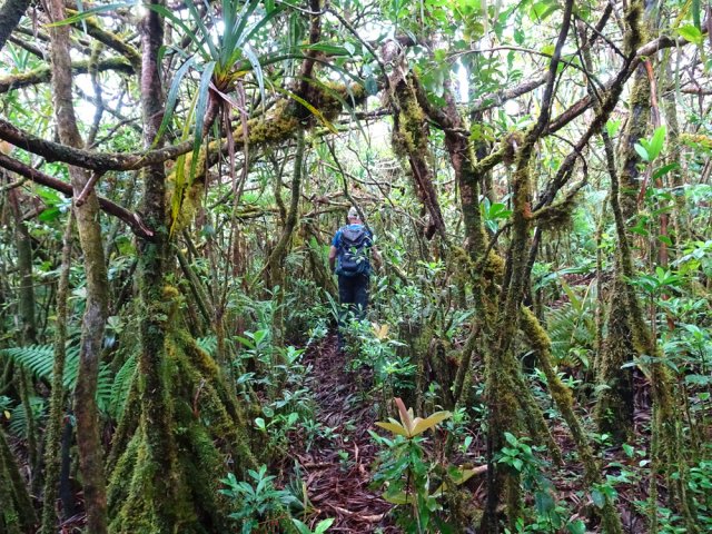 La trace reste visible