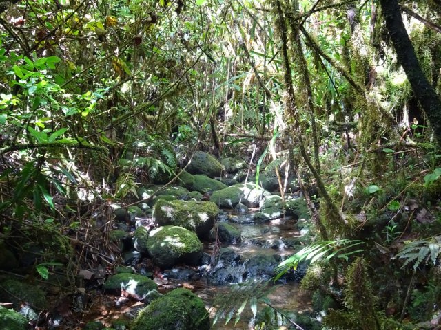 Inutile de tenter de continuer après la descente à la la ravine