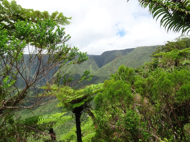 Plusieurs cascades coulent des falaises en rive droite de la Rivière des Roches