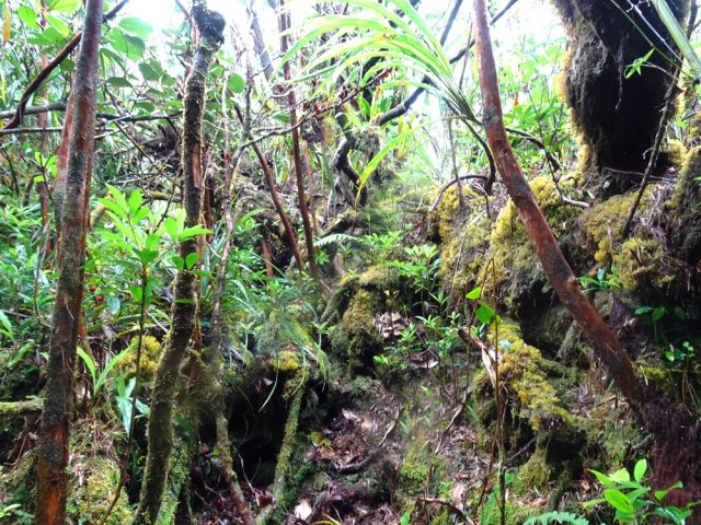 On retrouve l'avoune et les mousses au retour