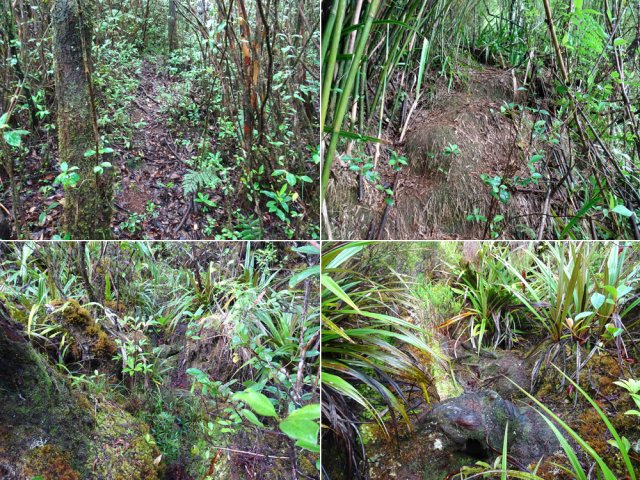 Une fois le talus franchi, le sentier reste facile à suivre