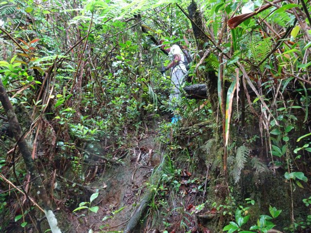 Beaucoup de portions glissantes