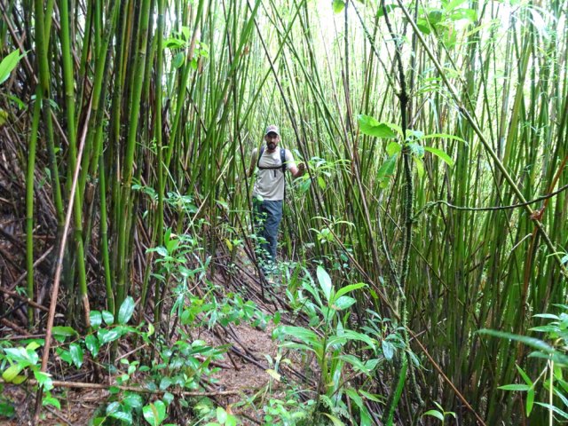 La longue traversée peut débuter