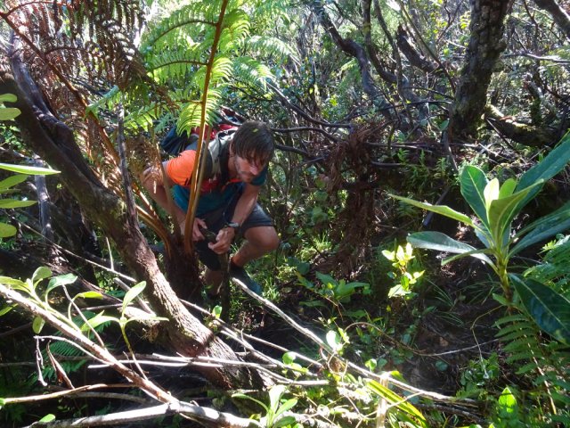 La pente est souvent forte mais il y a de quoi s'aider des mains