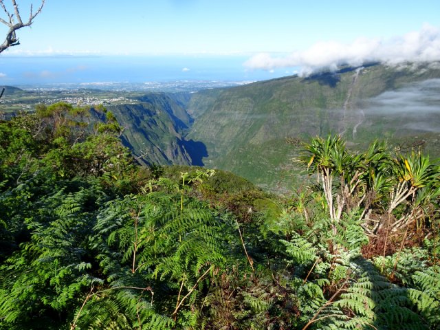 Enfin, vers le Sud, Grand Bassin à peine caché par le Piton Rouge