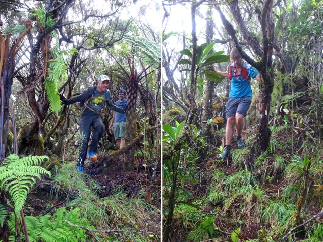 Deux nouveaux passages sur un semblant de sentier