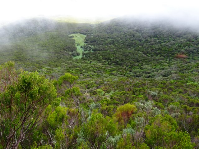 La clairière à atteindre avant l'arrivée des nuages