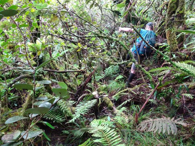 Le contournement du piton 1769 est un peu plus sportif
