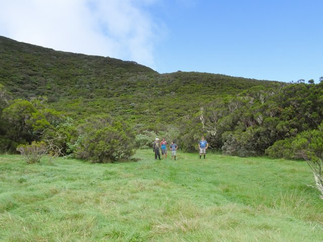 Encore une agréable clairière pour nettoyer les chaussures dans les herbes humides