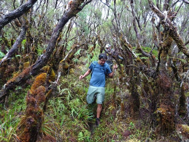 Pas besoin de chercher un passage en suivant cette trace humide