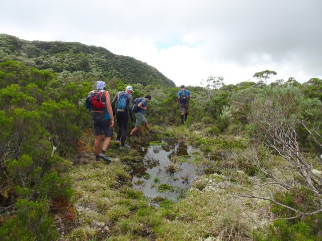 Quelques flaques pour atteindre le GRR2 et le Piton Tortue