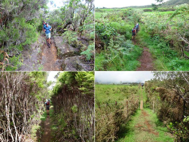 Après 4 heures en brousse, le retour est une balade à 6km/h