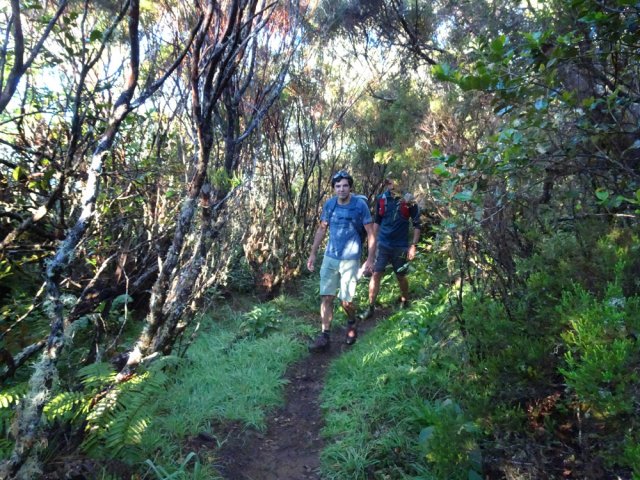 Le GRR2 au pied du Piton Bleu