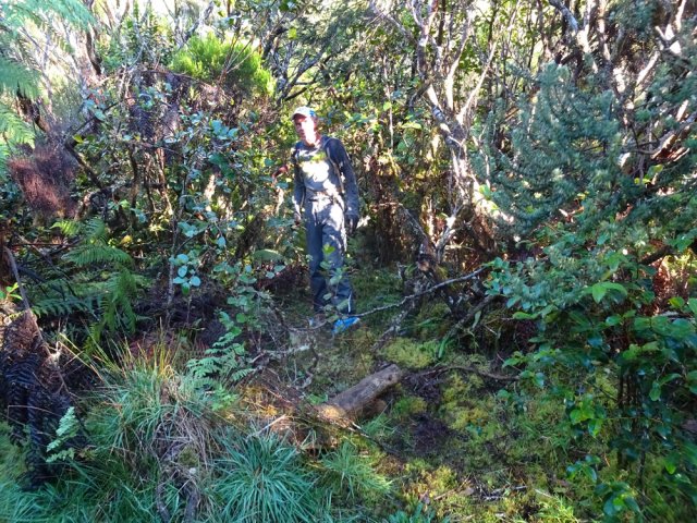 Le seul endroit correct pour entreprendre la montée près de ce tronc coupé au sol