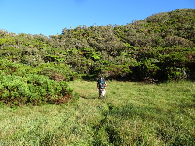 Une des clairières traversées au cours de la matinée