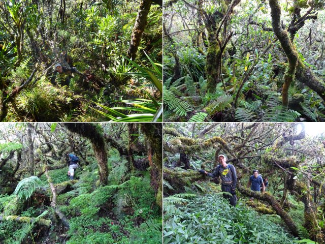 Ça se complique un peu par endroits. Toujours chercher le meilleur passage