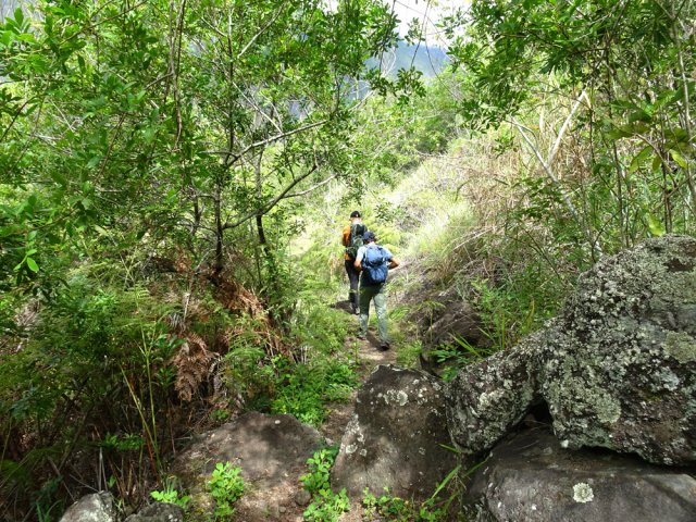 Début de la descente par le Sentier des Fougères