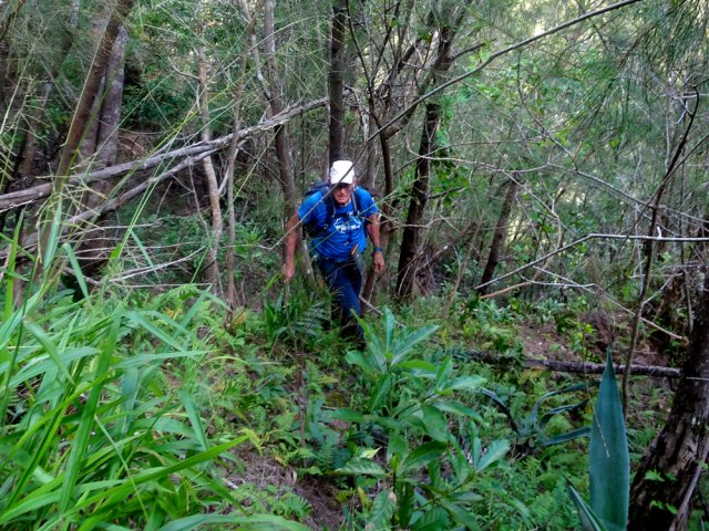 Le sentier reste toujours visible malgré le manque de fréquentation