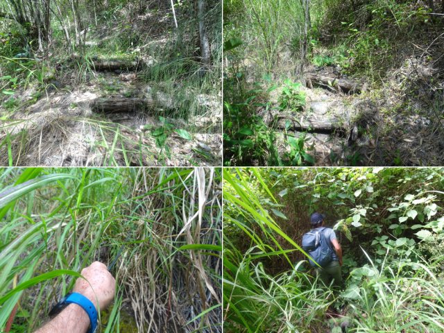 Il reste de beaux vestiges du sentier mais aussi des portions plus délicates