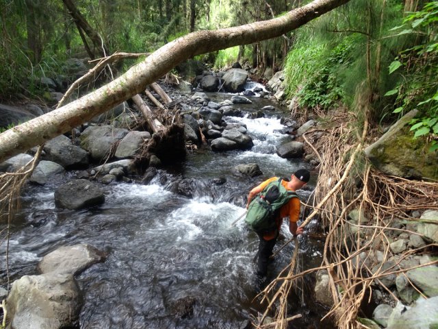 La descente mène directement à la Ravine des Calumets
