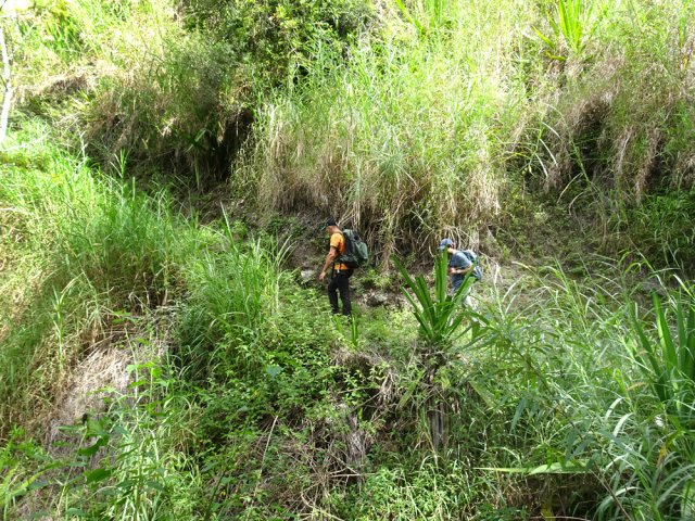Malgré les hautes herbes, le sentier est toujours praticable