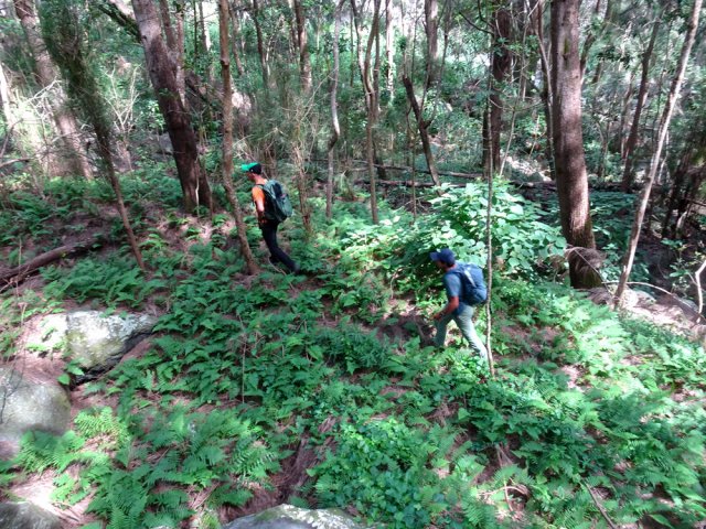 Une trace très discrète dans le sous-bois évite de chercher un passage