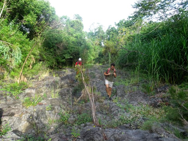 Nouvelle zone nettoyée et facile