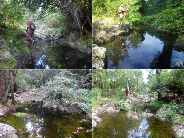 Plus on monte et plus on rencontre de petits bassins