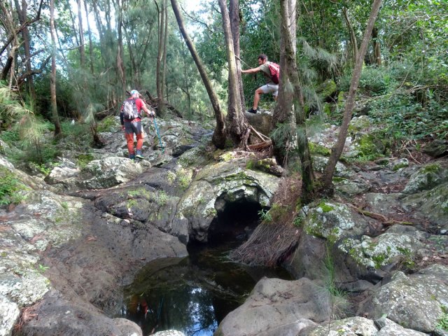 Les filaos ont également résisté aux fortes crues