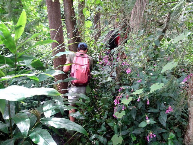 Le dernier bassin demande trop d'efforts dans les invasives pour éprouver du plaisir