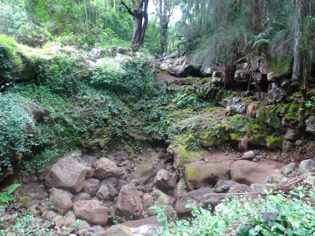 Pas de difficulté pour franchir ce bassin