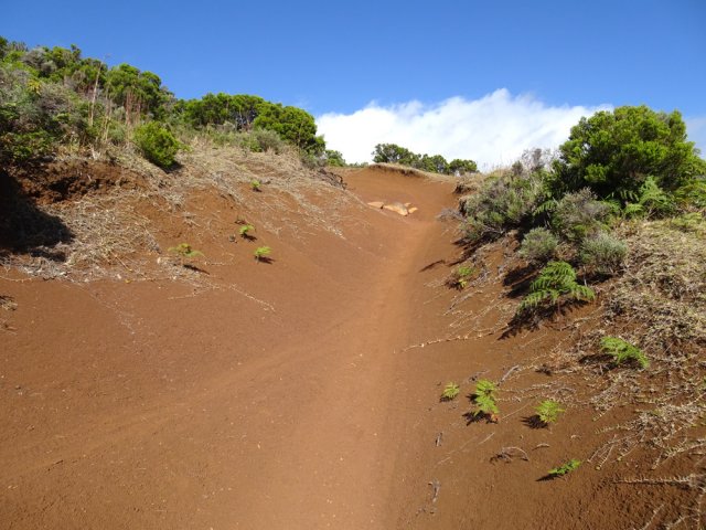 Un premier sentier en forte pente utilisé par les vététistes