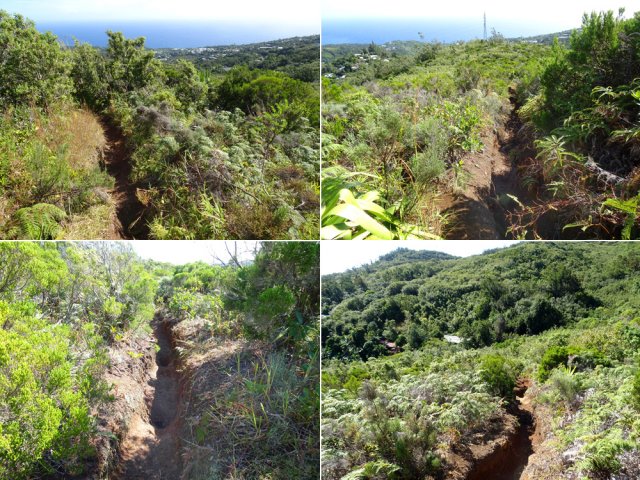 Longue portion d'un sentier creusé dans la terre rouge