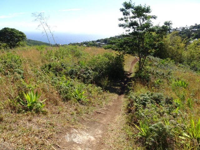 Le sentier se rapproche rapidement de la RD41