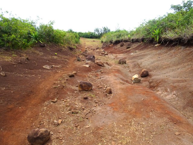 Début du Chemin des Anglais dans les terres rouges défoncées par les intempéries
