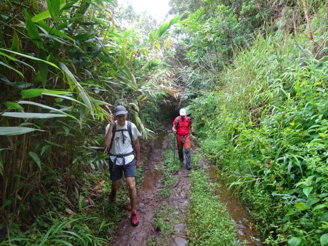 La piste en direction du Grand Bras est très boueuse toute l'année