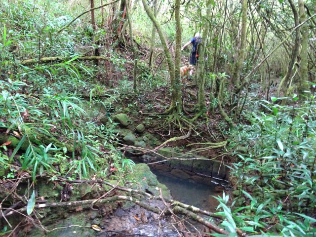 Un vestige de canal bordé de pierres de taille