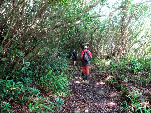 On découvre en forêt des pistes d'époque non répertoriées sur les cartes
