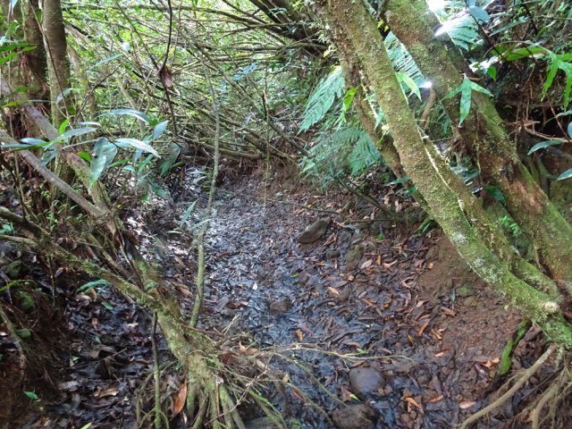 Difficile d'imaginer le beau canal de l'époque à deux pas de la piste