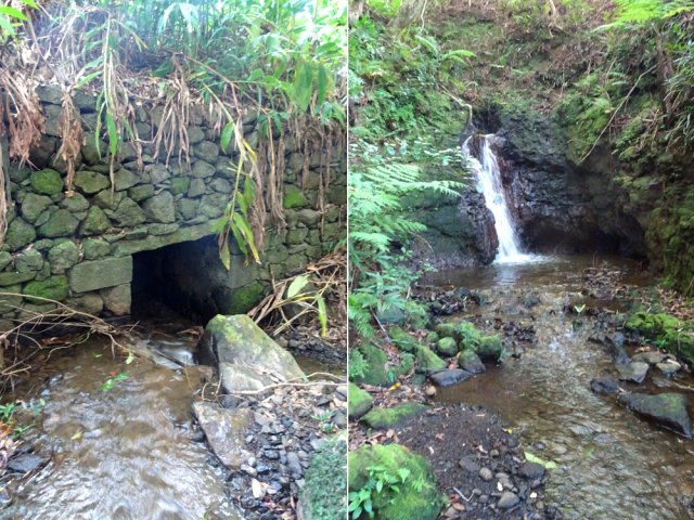 Ravine alimentée par le trop plein de la station de pompage en amont