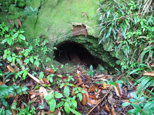 Les tunnels en place ont été utilisés pour le passage des canalisations